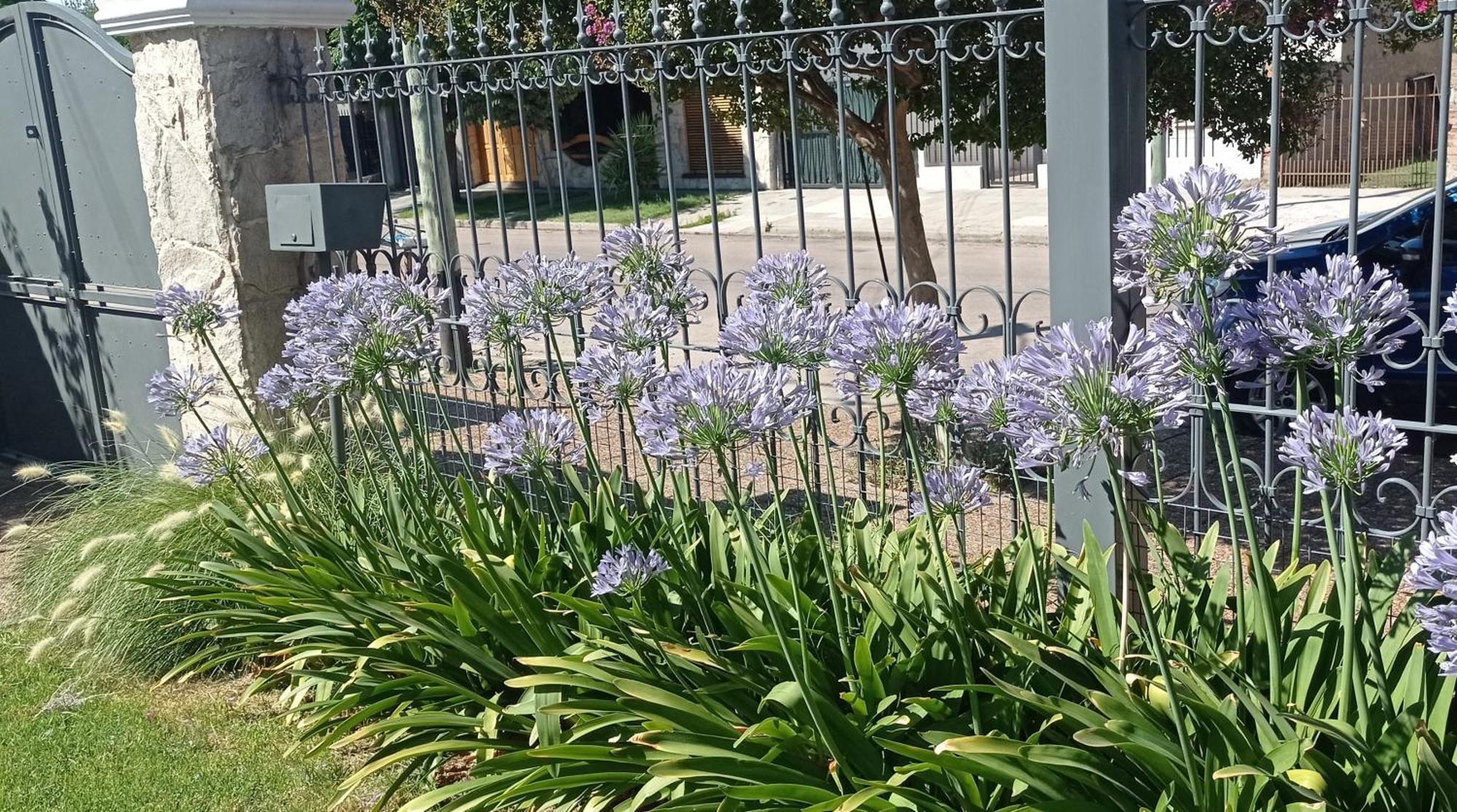 Oasis Cochera Opcional Bahía Blanca Pokój zdjęcie